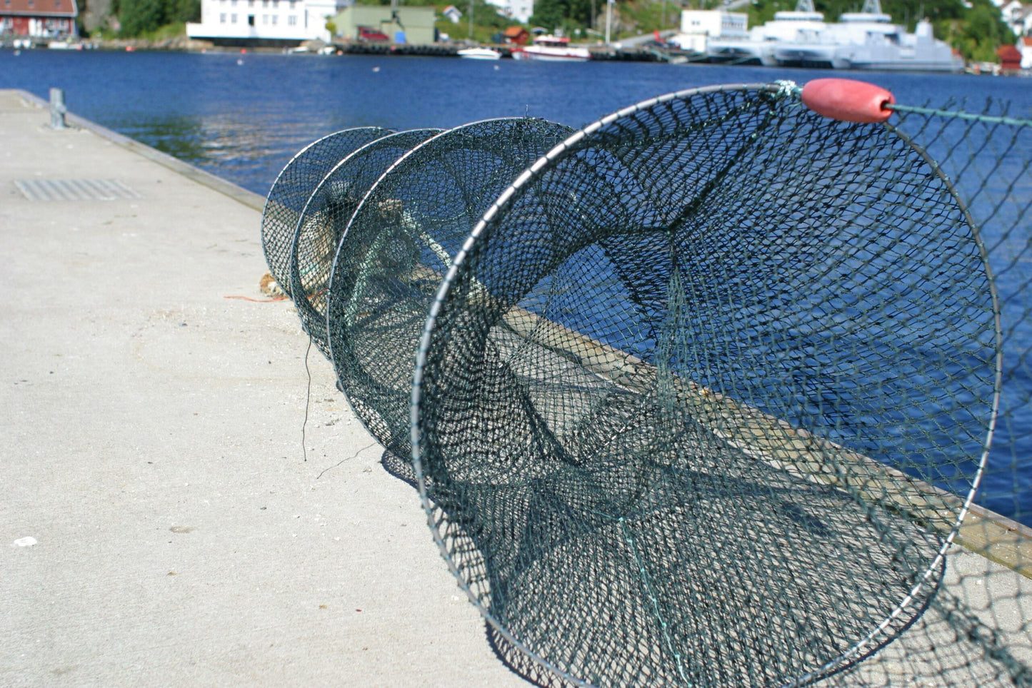 Doble Torskeruser med PVC ringer 11 meter lang