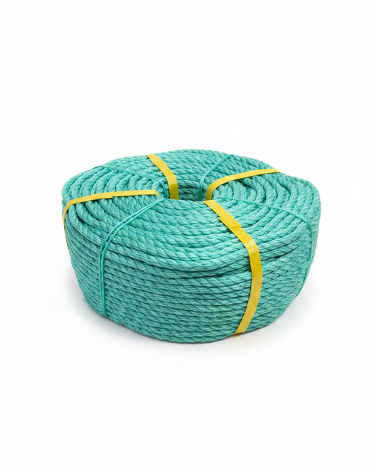 Danline 10 mm 110 meter