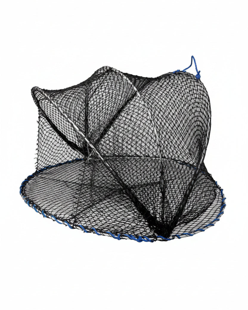 Carapax fisketeine