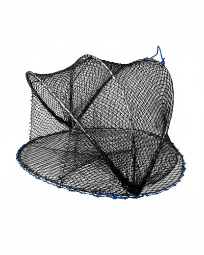 Carapax fisketeine
