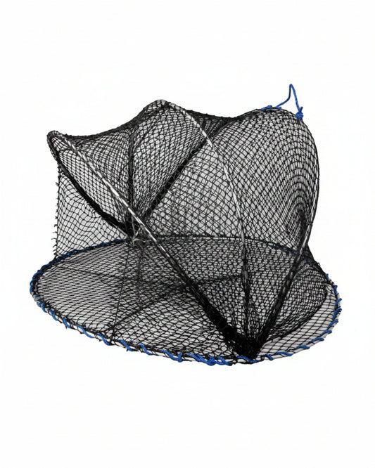 Carapax fisketeine